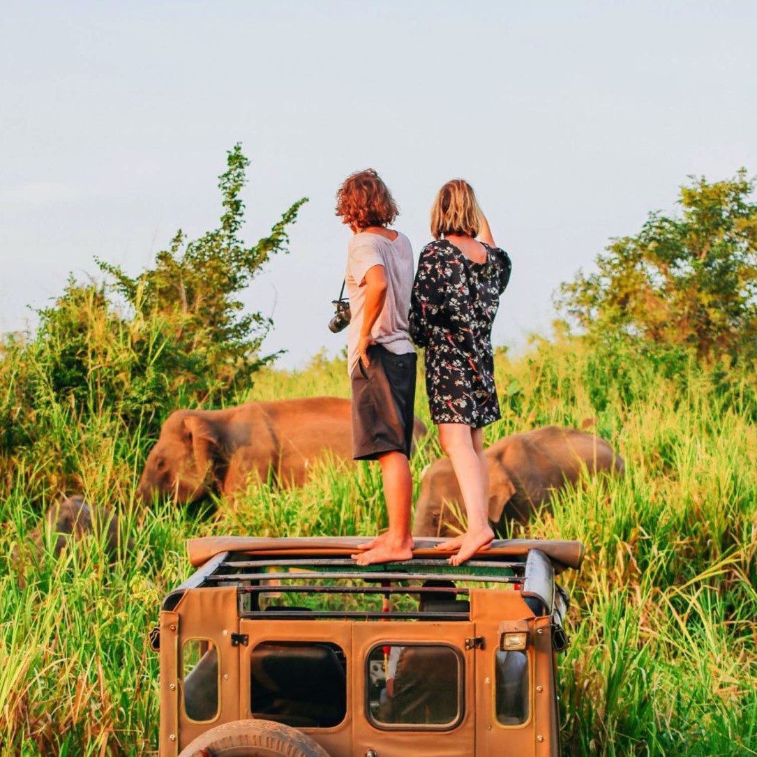Yala National Park