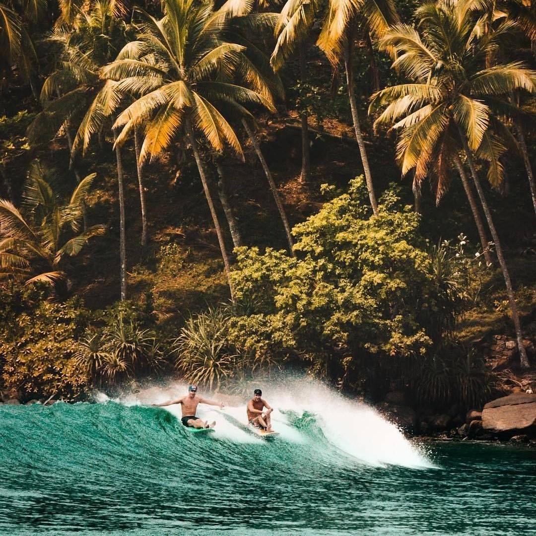 Surfing